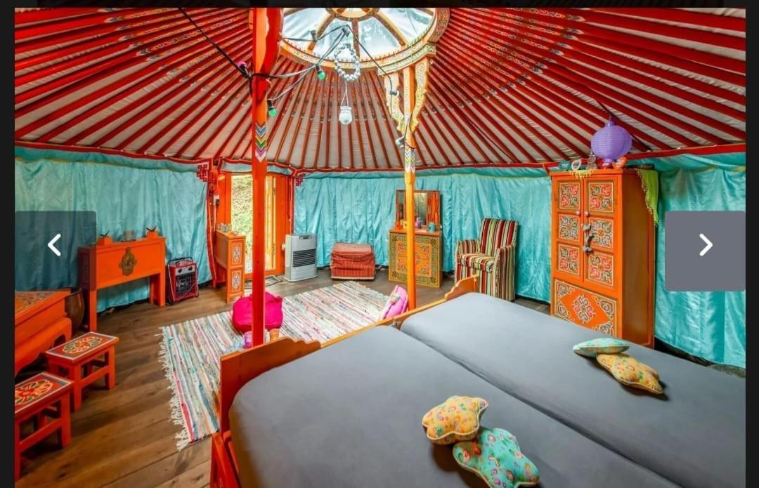 Yourte Mongole Et Cabane Houffalize Exteriör bild