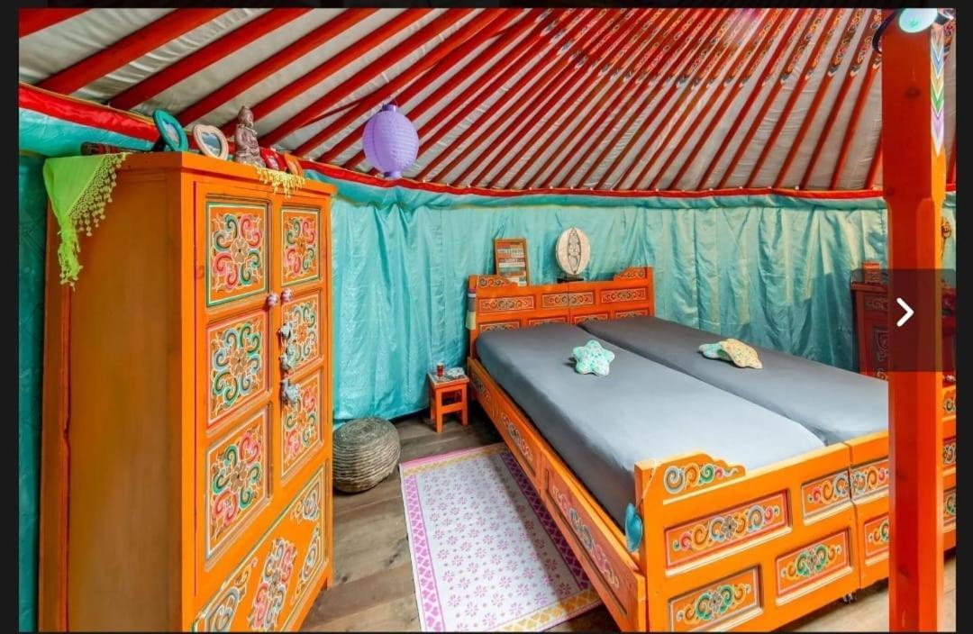 Yourte Mongole Et Cabane Houffalize Exteriör bild